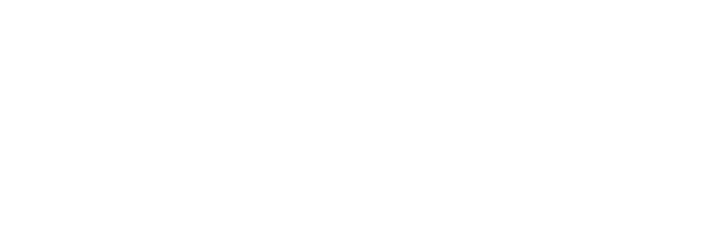 Monzit Insure